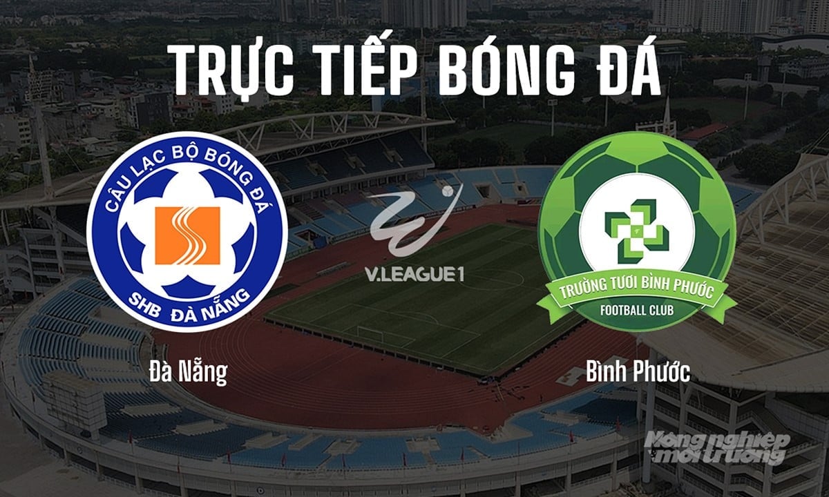 Trực tiếp bóng đá V-League 2024/25 giữa Đà Nẵng vs Bình Phước hôm nay 27/6/2025 Trực tiếp bóng đá V-League 2024/25 giữa Đà Nẵng vs Bình Phước hôm nay 27/6/2025