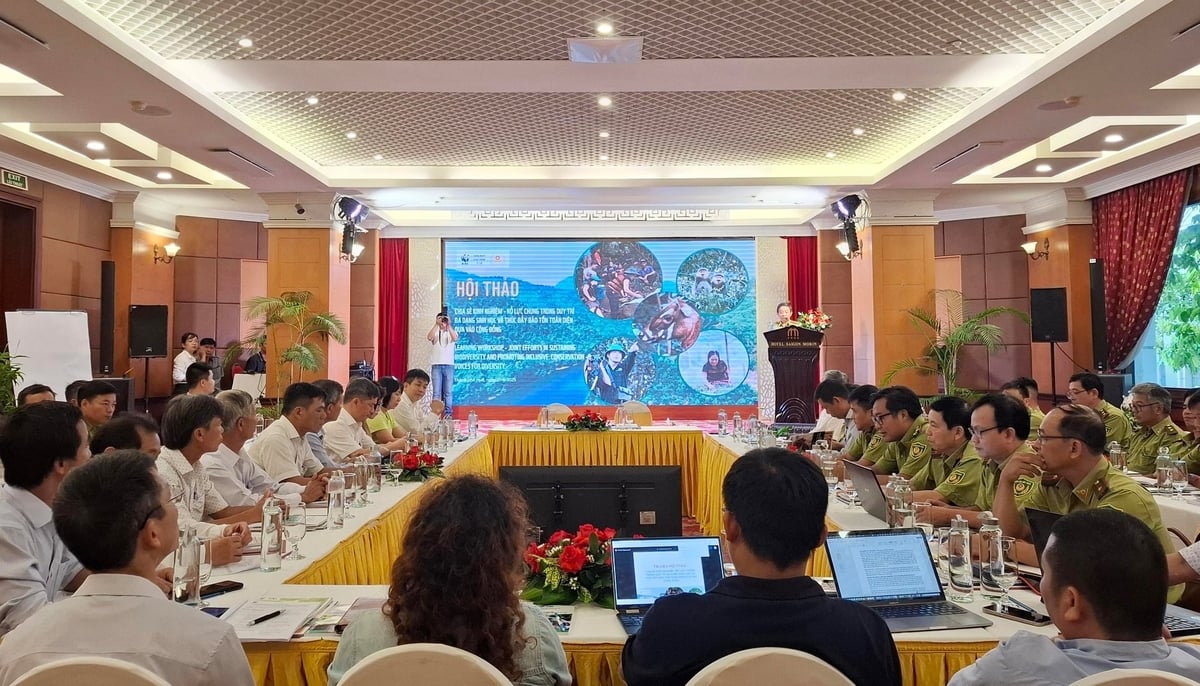 Hội thảo 'Chia sẻ kinh nghiệm – Nỗ lực chung trong duy trì đa dạng sinh học và thúc đẩy bảo tồn toàn diện dựa vào cộng đồng'. Ảnh: Văn Dinh. Hội thảo 'Chia sẻ kinh nghiệm – Nỗ lực chung trong duy trì đa dạng sinh học và thúc đẩy bảo tồn toàn diện dựa vào cộng đồng'. Ảnh: Văn Dinh.