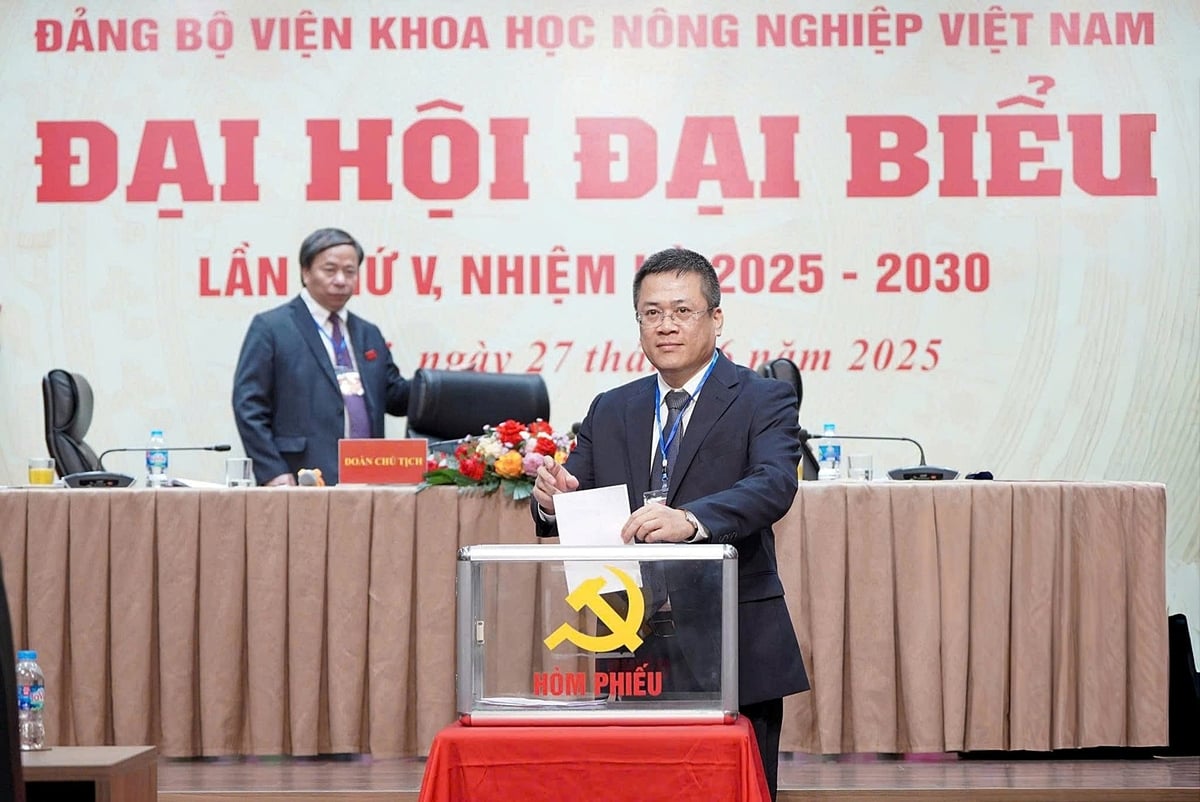 Ủy viên Ban chấp hành Đảng bộ VAAS, Viện trưởng Viện Thổ nhưỡng Nông hóa Trần Minh Tiến bỏ phiếu bầu tại đại hội. Ảnh: Bảo Thắng. Ủy viên Ban chấp hành Đảng bộ VAAS, Viện trưởng Viện Thổ nhưỡng Nông hóa Trần Minh Tiến bỏ phiếu bầu tại đại hội. Ảnh: Bảo Thắng.