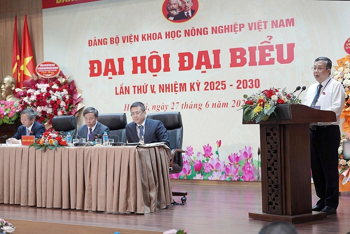 Thứ trưởng Hoàng Trung: VAAS cần đóng vai trò trung tâm, kết nối tam giác 'nghiên cứu - doanh nghiệp - vùng nguyên liệu'. Ảnh: Bảo Thắng. Thứ trưởng Hoàng Trung: VAAS cần đóng vai trò trung tâm, kết nối tam giác 'nghiên cứu - doanh nghiệp - vùng nguyên liệu'. Ảnh: Bảo Thắng.