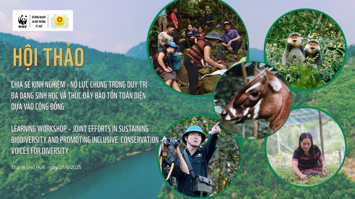 The 'Raising Our Voices to Protect the Saola and Ecosystems for Nature and People' project has delivered many concrete and meaningful outcomes. Photo: Organizing Committee.