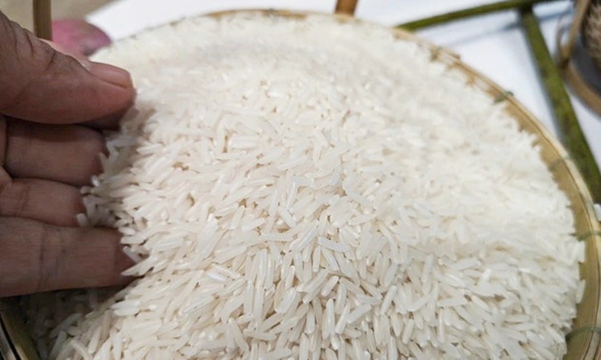 Cập nhật giá lúa gạo hôm nay 28/6/2025 mới nhất Cập nhật giá lúa gạo hôm nay 28/6/2025 mới nhất