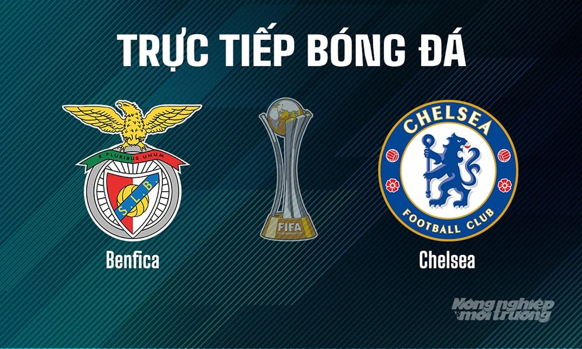 Trực tiếp bóng đá giải FIFA Club World Cup 2025 giữa Benfica vs Chelsea ngày 29/6/2025