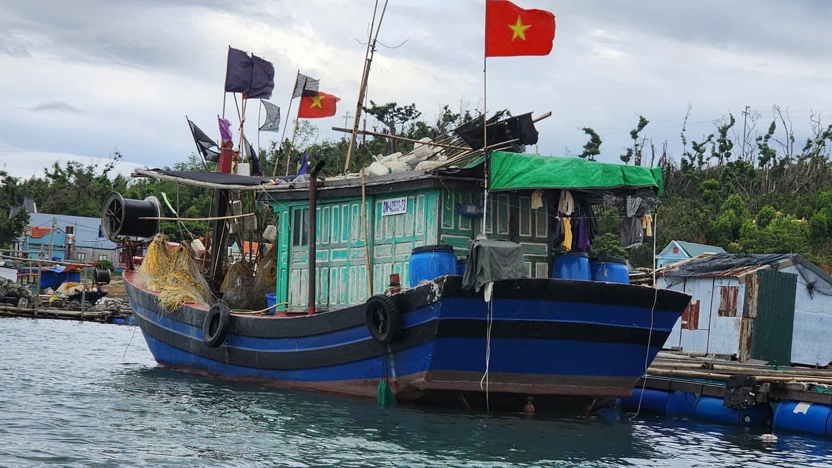 Một ngày mới ở làng chài Thắng Lợi, thuộc Vịnh Bắc Bộ, Vân Đồn, Quảng Ninh bắt đầu sớm hơn đất liền và nhộn nhịp nhiều hoạt động. Ảnh: Đức Hải. Một ngày mới ở làng chài Thắng Lợi, thuộc Vịnh Bắc Bộ, Vân Đồn, Quảng Ninh bắt đầu sớm hơn đất liền và nhộn nhịp nhiều hoạt động. Ảnh: Đức Hải.