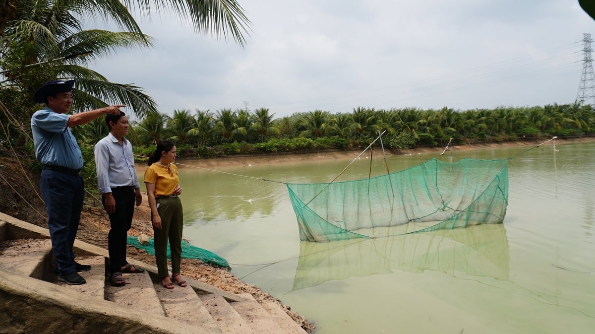 Hố bom được ông Hoàng cải tạo thành ao trữ nước và nuôi cá để ủ thành đạm cá hữu cơ bón cho cây trồng. Ảnh: Trần Trung.