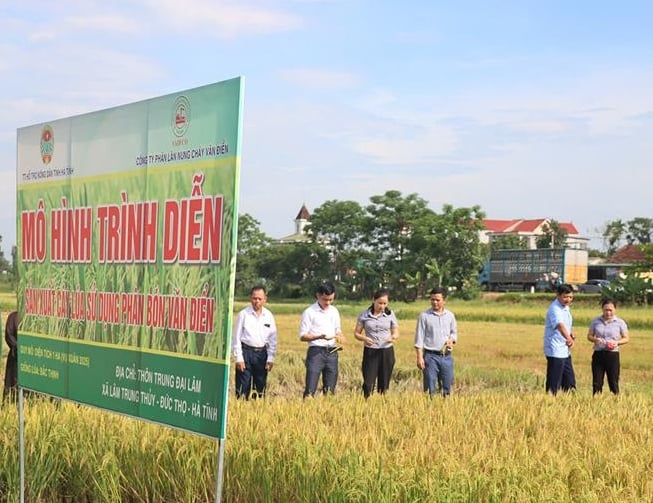 Các đại biểu tham quan mô hình canh tác lúa sử dụng phân bón đa yếu tố NPK Văn Điển. Ảnh: Thanh Tình - Nam Thắng. Các đại biểu tham quan mô hình canh tác lúa sử dụng phân bón đa yếu tố NPK Văn Điển. Ảnh: Thanh Tình - Nam Thắng.