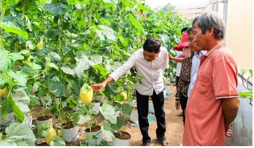 Sau gần 5 năm triển khai Nghị quyết Đại hội Đảng bộ tỉnh nhiệm kỳ 2020-2025, tỉnh Trà Vinh đã thực hiện đạt và vượt nhiều chỉ tiêu về phát triển kinh tế, góp phần nâng cao thu nhập cho người dân. Ảnh: Lê Hùng. Sau gần 5 năm triển khai Nghị quyết Đại hội Đảng bộ tỉnh nhiệm kỳ 2020-2025, tỉnh Trà Vinh đã thực hiện đạt và vượt nhiều chỉ tiêu về phát triển kinh tế, góp phần nâng cao thu nhập cho người dân. Ảnh: Lê Hùng.
