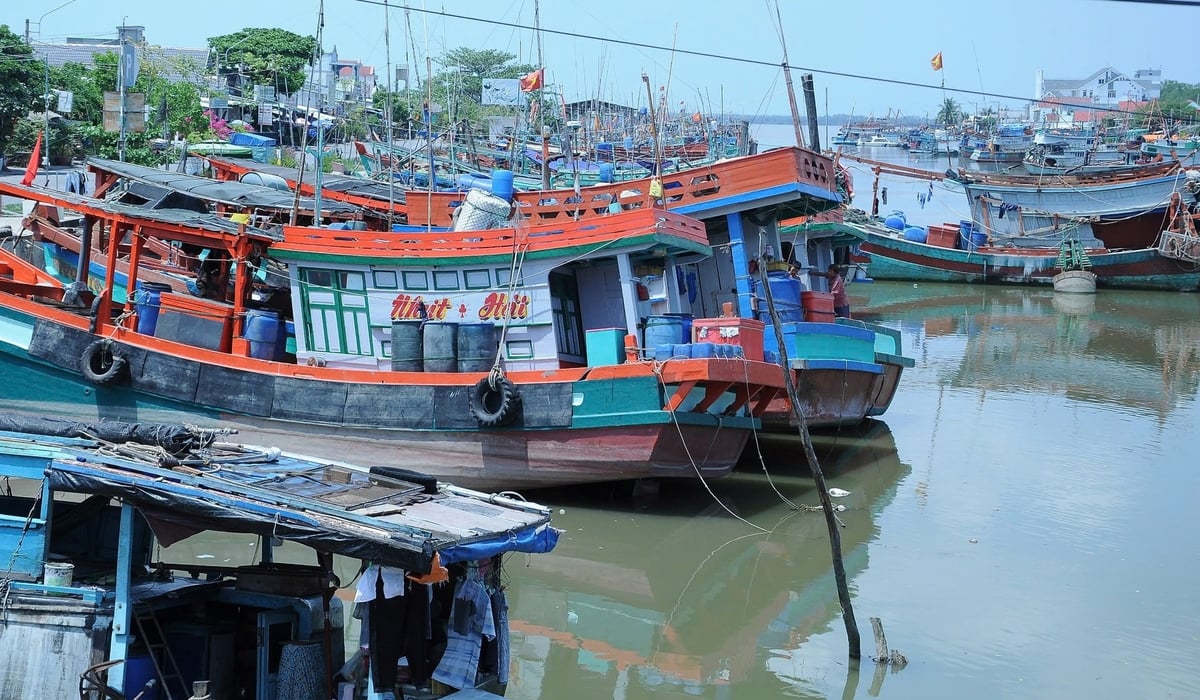 Trà Vinh đã cấp phép hoạt động khai thác thủy sản cho 997 tàu cá. Ảnh: Lê Hùng. Trà Vinh đã cấp phép hoạt động khai thác thủy sản cho 997 tàu cá. Ảnh: Lê Hùng.