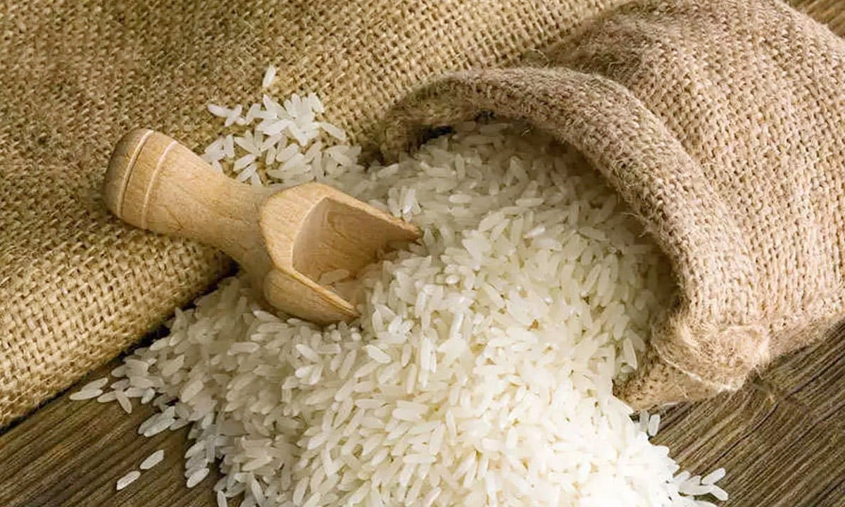 Cập nhật giá lúa gạo hôm nay 29/6/2025 mới nhất Cập nhật giá lúa gạo hôm nay 29/6/2025 mới nhất
