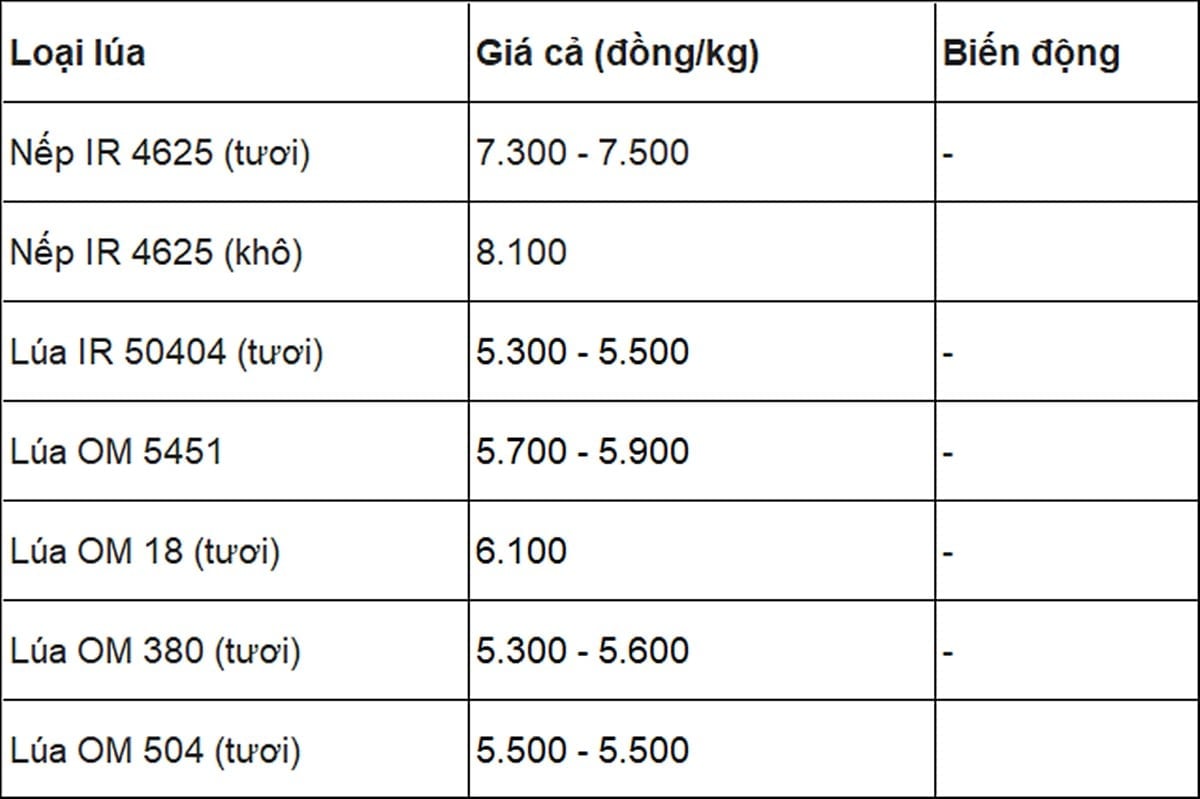 Giá lúa hôm nay 29/6/2025 ở trong nước mới nhất Giá lúa hôm nay 29/6/2025 ở trong nước mới nhất