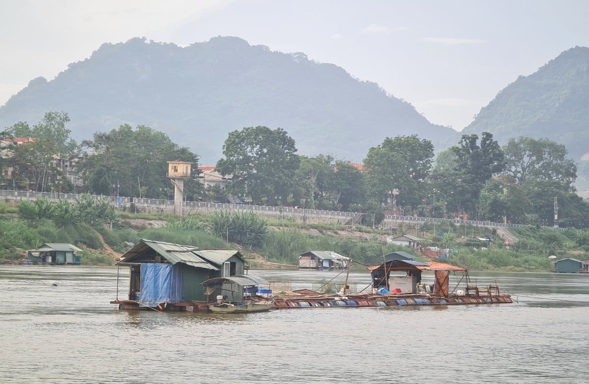 Khu vực nuôi cá lồng của gia đình chị Trần Thị Vui trên một khúc sông Lô, thuộc phường Nông Tiến, thành phố Tuyên Quang. Ảnh: Đào Thanh. Khu vực nuôi cá lồng của gia đình chị Trần Thị Vui trên một khúc sông Lô, thuộc phường Nông Tiến, thành phố Tuyên Quang. Ảnh: Đào Thanh.