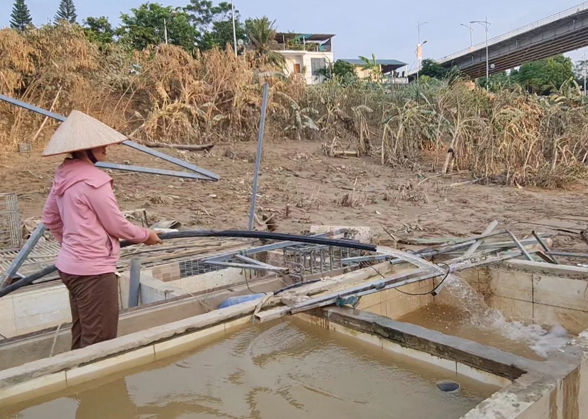Chị Trần Thị Vui dọn dẹp khu vực nuôi, thả thủy sản sau trận lũ lụt năm 2024. Ảnh: Đào Thanh. Chị Trần Thị Vui dọn dẹp khu vực nuôi, thả thủy sản sau trận lũ lụt năm 2024. Ảnh: Đào Thanh.