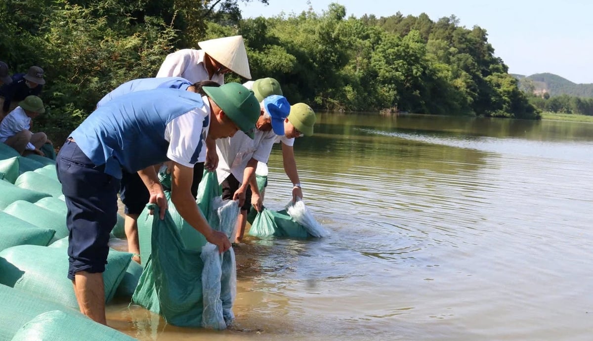 Việc thả tôm, cá giống được tổ chức liên tục hằng năm bên sông Giang đoạn qua thị xã Ba Đồn. Ảnh: T. Phùng. Việc thả tôm, cá giống được tổ chức liên tục hằng năm bên sông Giang đoạn qua thị xã Ba Đồn. Ảnh: T. Phùng.