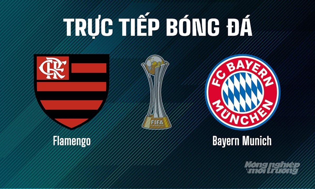Trực tiếp bóng đá giải FIFA Club World Cup 2025 giữa Flamengo vs Bayern Munich ngày 30/6/2025 Trực tiếp bóng đá giải FIFA Club World Cup 2025 giữa Flamengo vs Bayern Munich ngày 30/6/2025