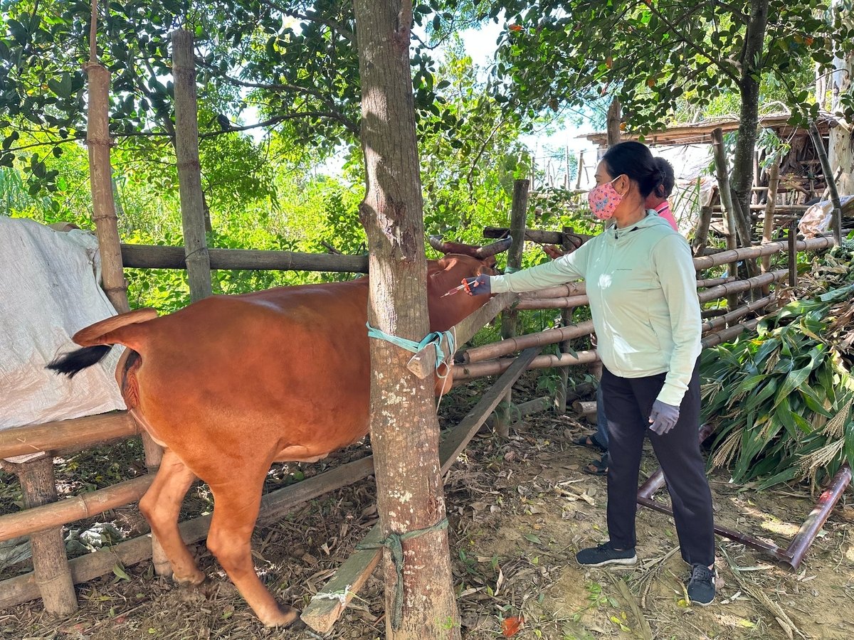 Nguồn nhân lực mỏng cùng với địa bàn quản lý rộng sẽ khiến cho các cán bộ chăn nuôi, thú y nói riêng sẽ vất vả hơn. Ảnh: L.K. Nguồn nhân lực mỏng cùng với địa bàn quản lý rộng sẽ khiến cho các cán bộ chăn nuôi, thú y nói riêng sẽ vất vả hơn. Ảnh: L.K.