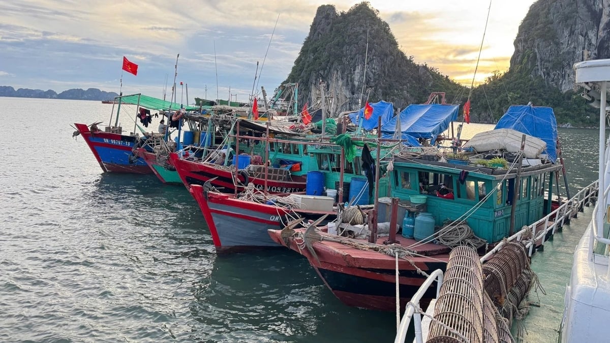 Tàu vi phạm khai thác tận diệt bị lực lượng kiểm ngư bắt giữ vào tối 26/6/2025. Ảnh: Nguyễn Thành. Tàu vi phạm khai thác tận diệt bị lực lượng kiểm ngư bắt giữ vào tối 26/6/2025. Ảnh: Nguyễn Thành.