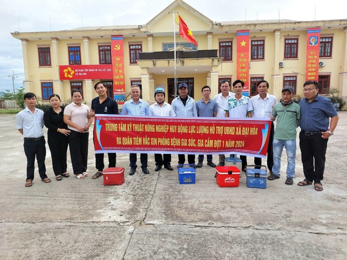 Hiện nay, hầu hết những người phụ trách mảng chăn nuôi, thú y ở các xã ở tỉnh Quảng Nam đều là cán bộ bán chuyên trách. Ảnh: L.K. Hiện nay, hầu hết những người phụ trách mảng chăn nuôi, thú y ở các xã ở tỉnh Quảng Nam đều là cán bộ bán chuyên trách. Ảnh: L.K.