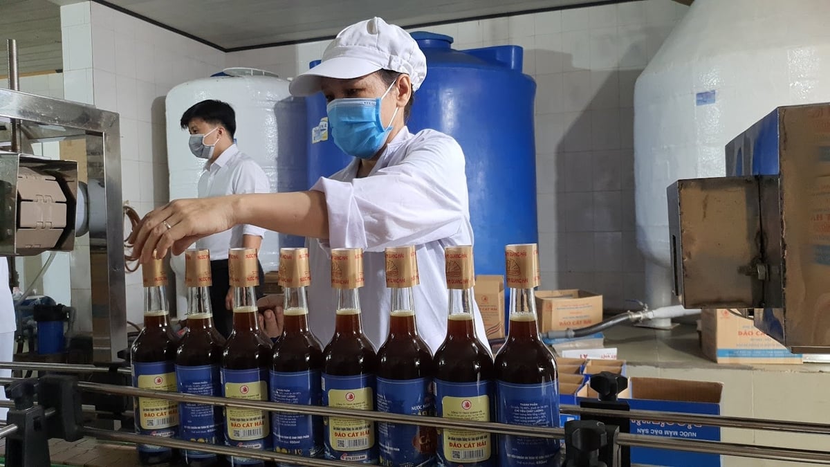 Một doanh nghiệp sản xuất nước mắm có tầm cỡ ở huyện Cát Hải, dù được đầu tư lớn nhưng sự cạnh tranh trên thị trường chưa cao. Ảnh: Đinh Mười. Một doanh nghiệp sản xuất nước mắm có tầm cỡ ở huyện Cát Hải, dù được đầu tư lớn nhưng sự cạnh tranh trên thị trường chưa cao. Ảnh: Đinh Mười.