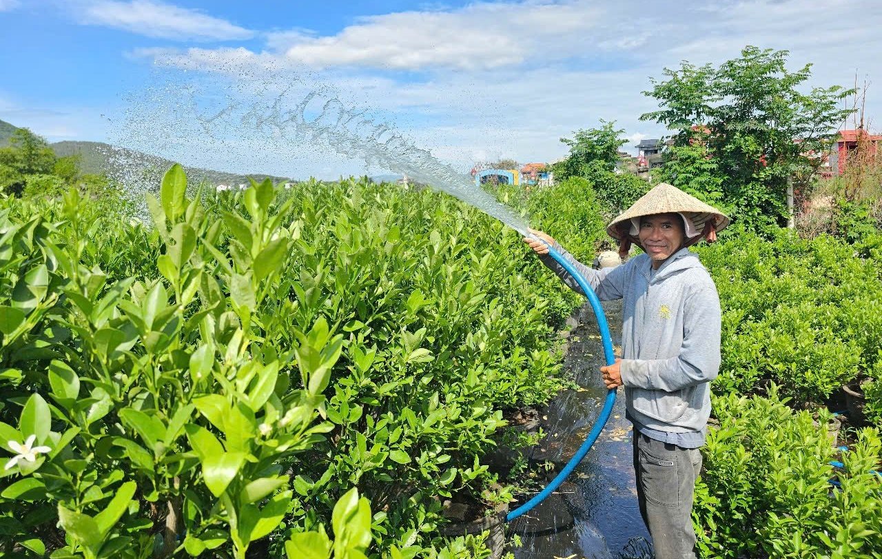 Anh Khoan chăm sóc hoa cây cảnh. Ảnh: KS.