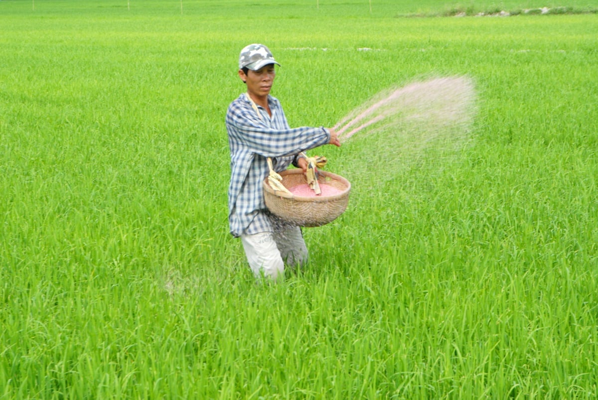 Tưới ngập - khô xen kẽ trong canh tác lúa giúp giảm 5 - 10% chi phí sử dụng phân bón và thuốc BVTV mà năng suất lúa vẫn ổn định. Ảnh: Lê Hoàng Vũ. Tưới ngập - khô xen kẽ trong canh tác lúa giúp giảm 5 - 10% chi phí sử dụng phân bón và thuốc BVTV mà năng suất lúa vẫn ổn định. Ảnh: Lê Hoàng Vũ.