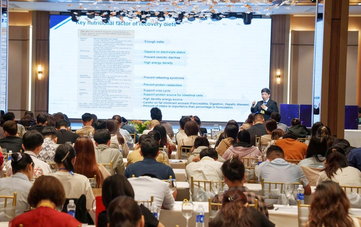 PGS.TS Attawit Kovitvadhi, trình bày chủ đề dinh dưỡng phòng bệnh trong chăm sóc thú y. Ảnh: Lê Minh Quốc. PGS.TS Attawit Kovitvadhi, trình bày chủ đề dinh dưỡng phòng bệnh trong chăm sóc thú y. Ảnh: Lê Minh Quốc.