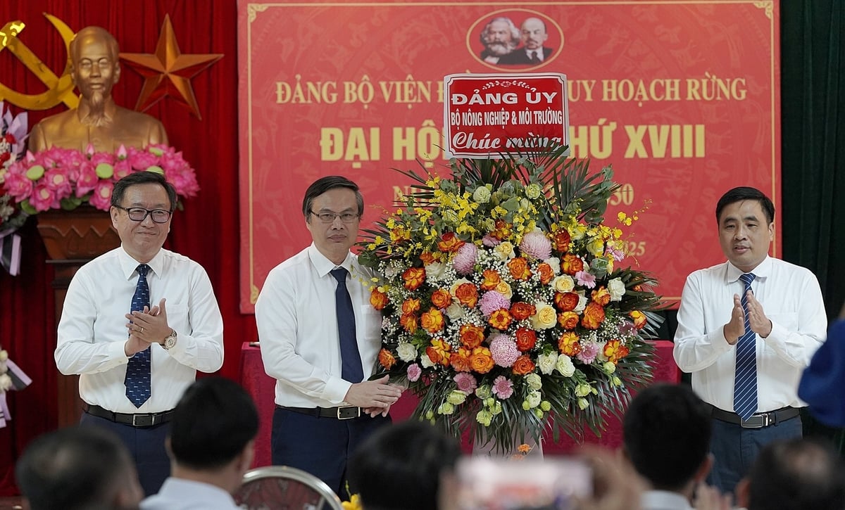Thứ trưởng Nguyễn Quốc Trị thay mặt Đảng ủy Bộ tặng hoa, chúc mừng đại hội. Ảnh: Bảo Thắng. Thứ trưởng Nguyễn Quốc Trị thay mặt Đảng ủy Bộ tặng hoa, chúc mừng đại hội. Ảnh: Bảo Thắng.