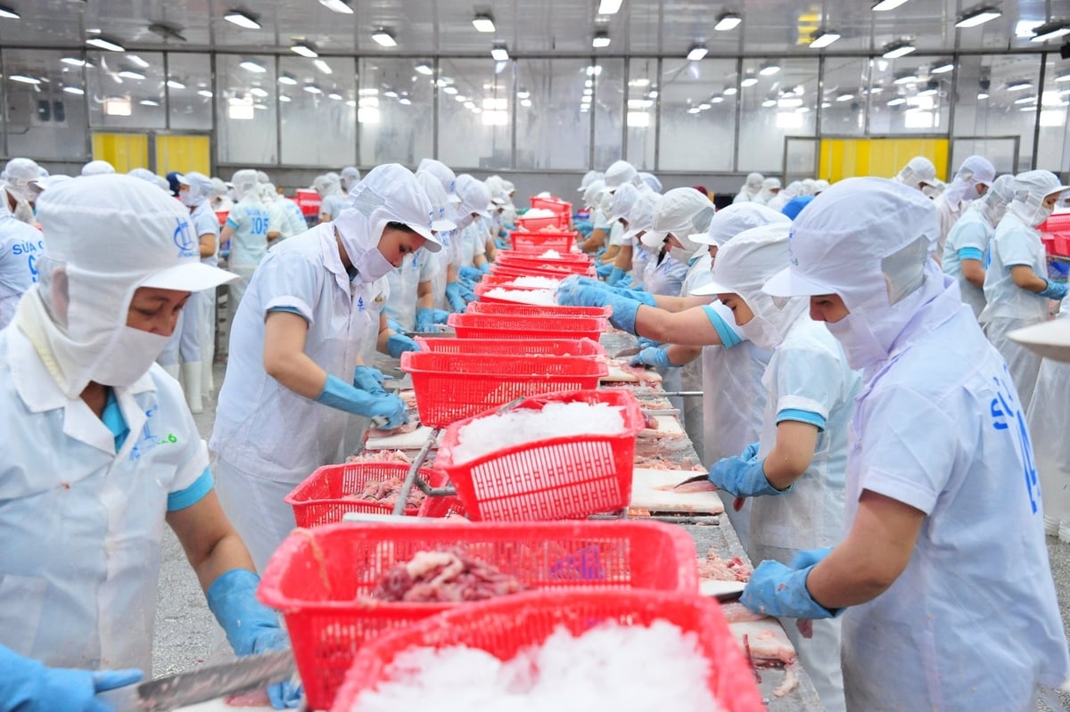 Trong 6 tháng đầu năm 2025, kinh tế Đồng Tháp tăng trưởng 6,98%. Ảnh: Lê Hoàng Vũ.