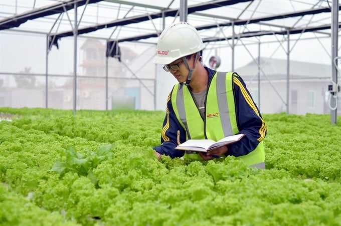 Doanh nghiệp nông nghiệp sẽ chỉ bị kiểm tra tối đa 1 lần mỗi năm. Ảnh minh họa. Doanh nghiệp nông nghiệp sẽ chỉ bị kiểm tra tối đa 1 lần mỗi năm. Ảnh minh họa.