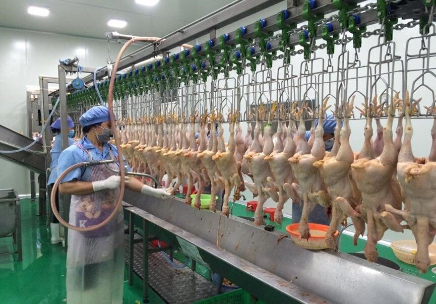 Một trong những doanh nghiệp hiếm hoi tại Hải Phòng đầu tư lớn cho công nghệ chế biến. Ảnh: Đinh Mười. Một trong những doanh nghiệp hiếm hoi tại Hải Phòng đầu tư lớn cho công nghệ chế biến. Ảnh: Đinh Mười.