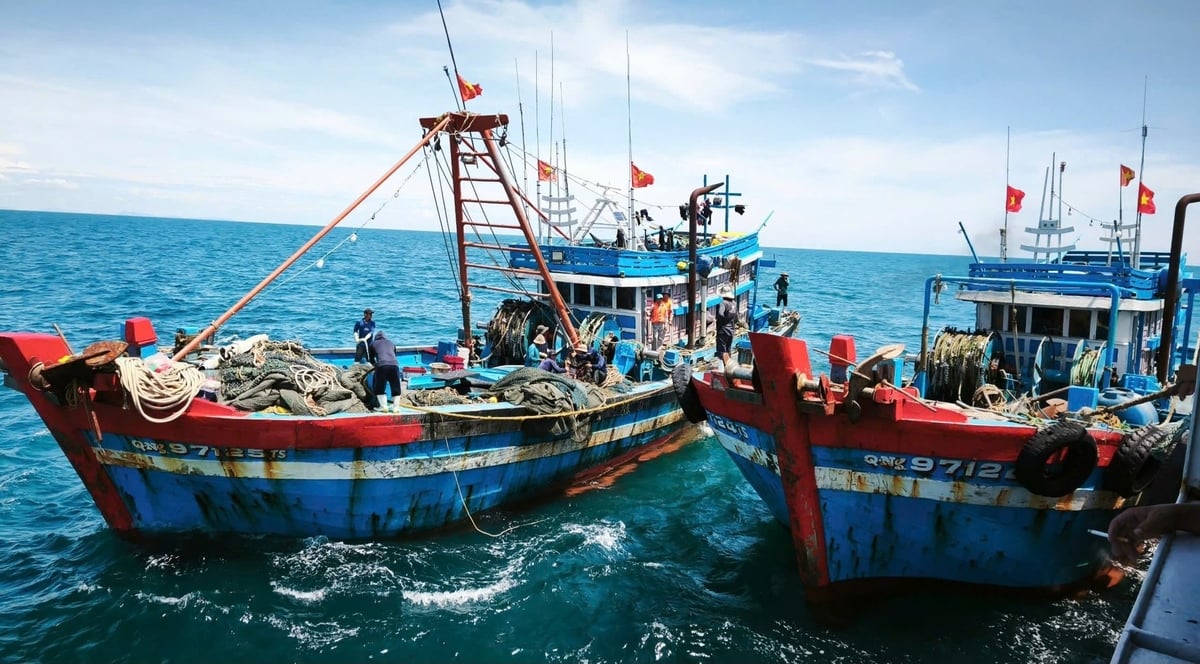 Hai tàu cá công suất lớn ở Quảng Ngãi vi phạm trong khai thác thủy sản trên vịnh Bắc Bộ bị lực lực Kiểm ngư Vùng I phát hiện. Ảnh: Đức Dự. Hai tàu cá công suất lớn ở Quảng Ngãi vi phạm trong khai thác thủy sản trên vịnh Bắc Bộ bị lực lực Kiểm ngư Vùng I phát hiện. Ảnh: Đức Dự.