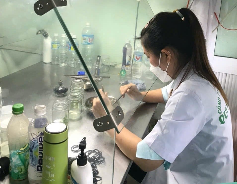 Cán bộ kỹ thuật của Công ty TNHH Lâm nghiệp Quy Nhơn làm việc trong phòng nuôi cấy mô giống cây lâm nghiệp. Ảnh: V.Đ.T. Cán bộ kỹ thuật của Công ty TNHH Lâm nghiệp Quy Nhơn làm việc trong phòng nuôi cấy mô giống cây lâm nghiệp. Ảnh: V.Đ.T.