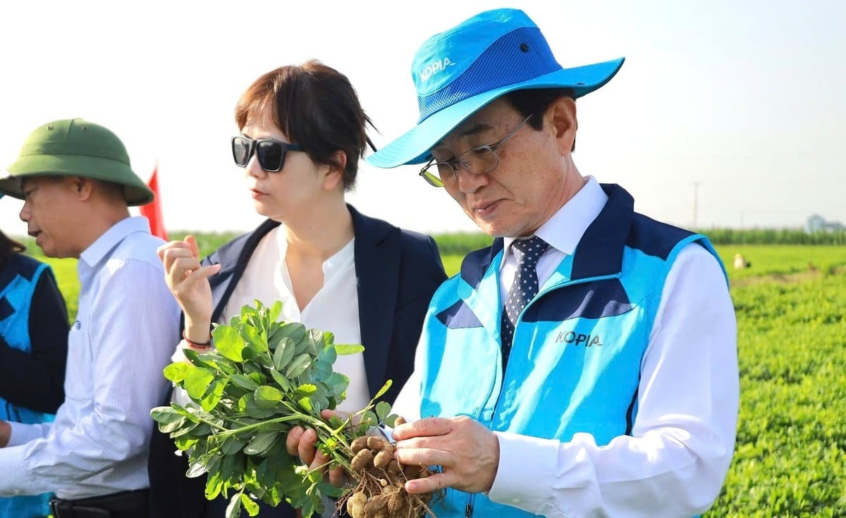 Đối tác Hàn Quốc đánh giá cao những kết quả đã đạt được. Ảnh: Ngọc Linh.
