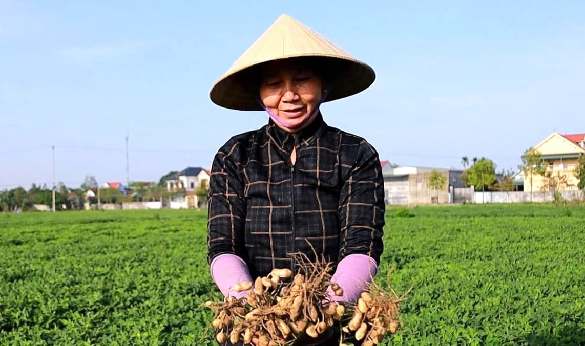 Nông dân Nghệ An được hưởng lợi lớn từ dự án này. Ảnh: Ngọc Linh.