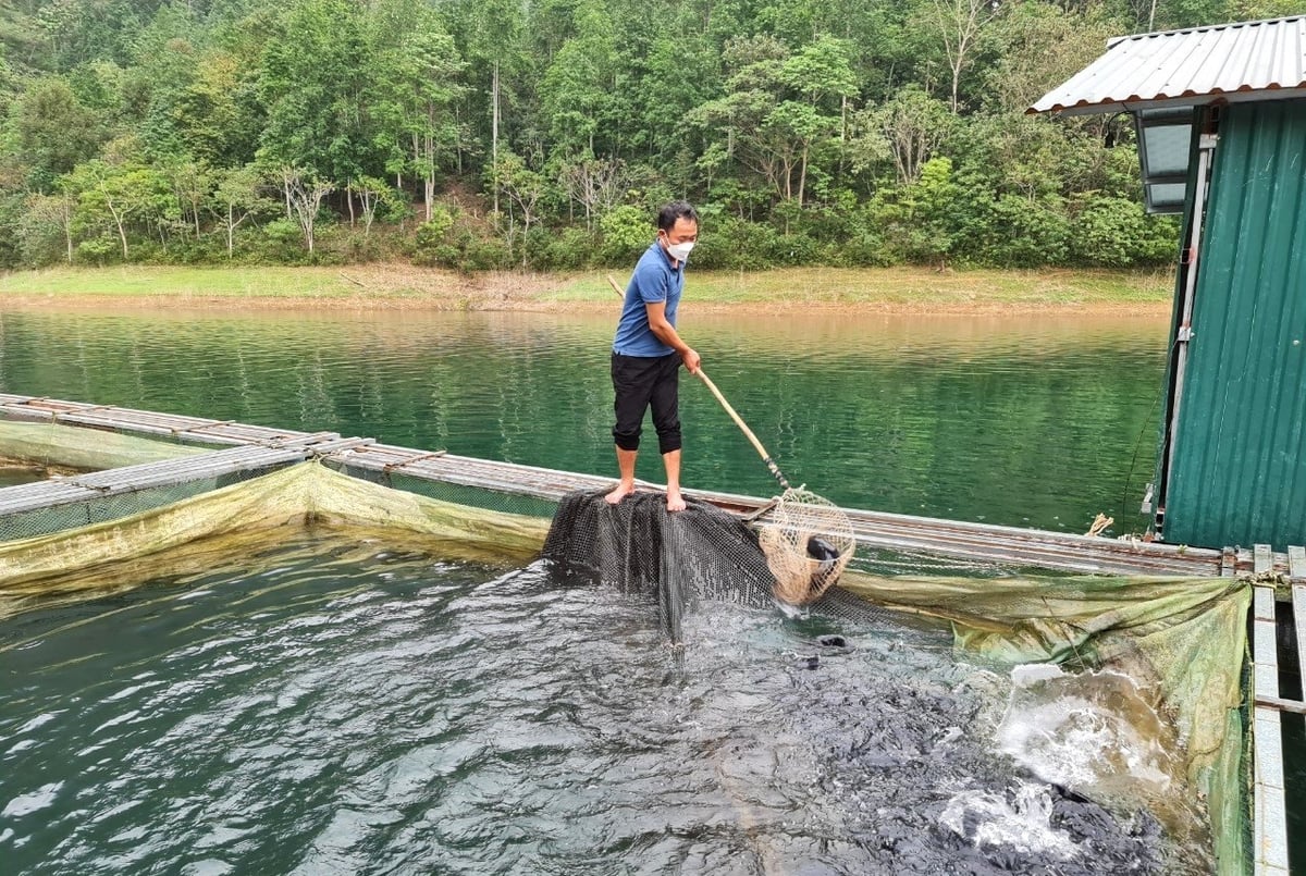 Sông Gâm khu vực huyện Lâm Bình có ưu điểm là nguồn nước sạch, hàm lượng ô xy cao, là môi trường lý tưởng để các loài cá đặc sản như lăng, bỗng, chiên, tầm sinh sống. Ảnh: Đào Thanh. Sông Gâm khu vực huyện Lâm Bình có ưu điểm là nguồn nước sạch, hàm lượng ô xy cao, là môi trường lý tưởng để các loài cá đặc sản như lăng, bỗng, chiên, tầm sinh sống. Ảnh: Đào Thanh.