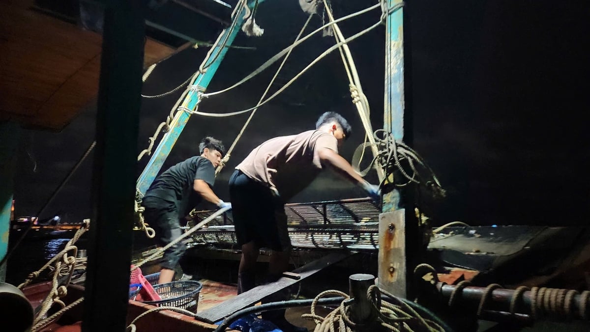 Cận cảnh tàu cá vi phạm trên vùng đệm vịnh Hạ Long. Ảnh: Nguyễn Thành. Cận cảnh tàu cá vi phạm trên vùng đệm vịnh Hạ Long. Ảnh: Nguyễn Thành.