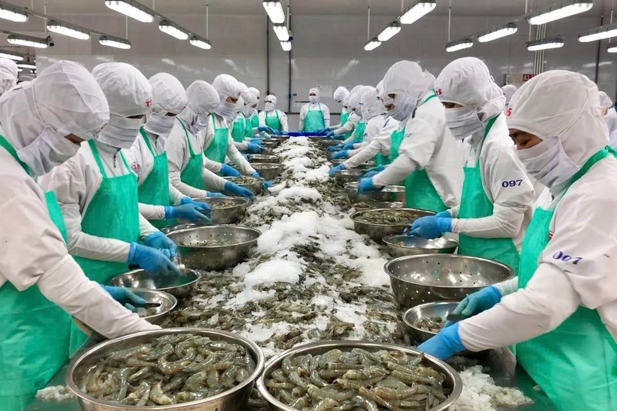 6 tháng đầu năm 2025, xuất khẩu nông, lâm, thủy sản tăng trưởng trên 14%. Ảnh: Minh Hoàng.