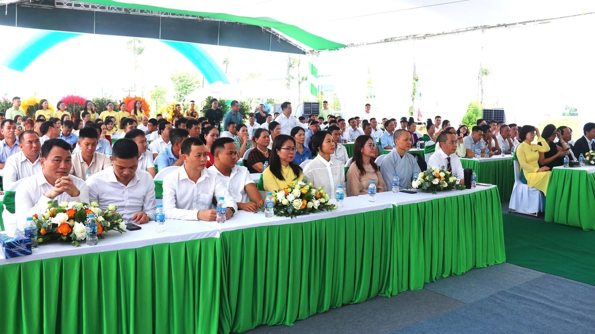 Các đại biểu tại chương trình. Ảnh: Phạm Hiếu.