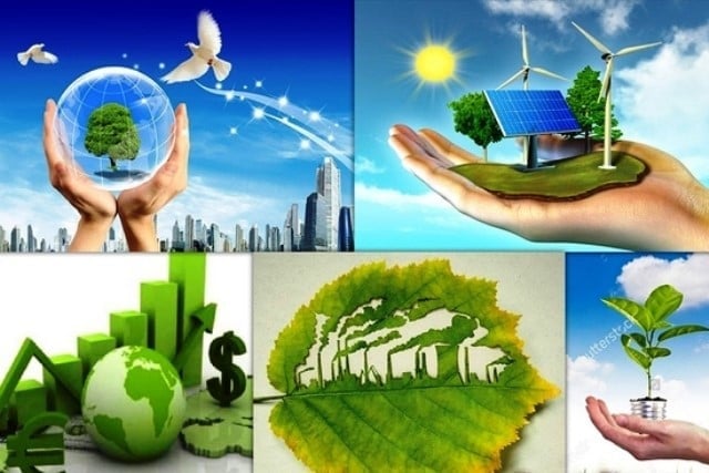 Lĩnh vực Nông nghiệp và Môi trường thuộc chức năng quản lý của Phòng Kinh tế thuộc cấp xã.   Ảnh minh họa.