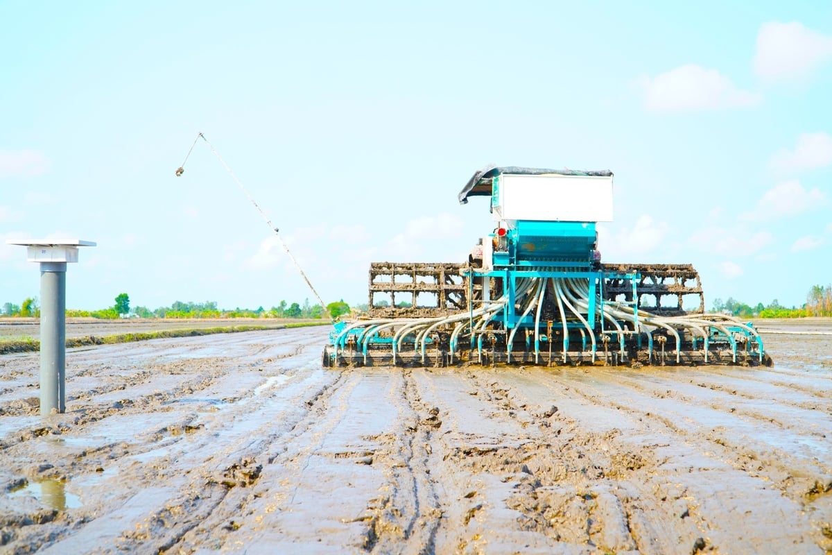 Đề án 1 triệu hecta lúa chất lượng cao ra đời là minh chứng cho công cuộc chuyển đổi nông nghiệp sinh thái trong ngành hàng lúa gạo ở ĐBSCL. Ảnh: Kim Anh. Đề án 1 triệu hecta lúa chất lượng cao ra đời là minh chứng cho công cuộc chuyển đổi nông nghiệp sinh thái trong ngành hàng lúa gạo ở ĐBSCL. Ảnh: Kim Anh.