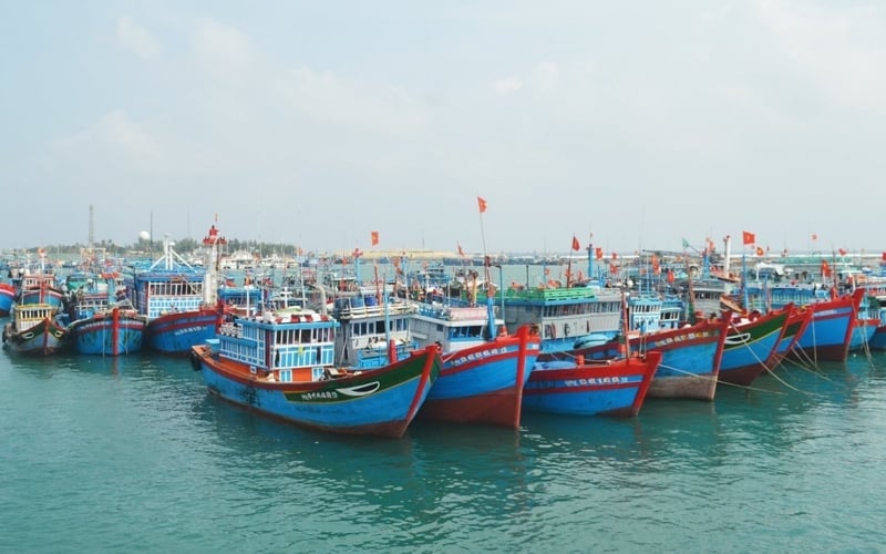 Cả nước hiện có 84.536 chiếc tàu cá đang hoạt động. Ảnh: Vân Giang. Cả nước hiện có 84.536 chiếc tàu cá đang hoạt động. Ảnh: Vân Giang.