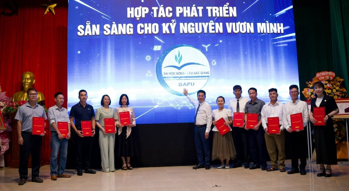 Nhà trường tiếp tục ký kết hợp tác với doanh nghiệp, giúp nhiều sinh viên có việc làm đúng ngành ngay sau khi ra trường, với mức thu nhập khởi điểm từ 13 đến 20 triệu đồng/tháng. Ảnh: Phạm Minh.