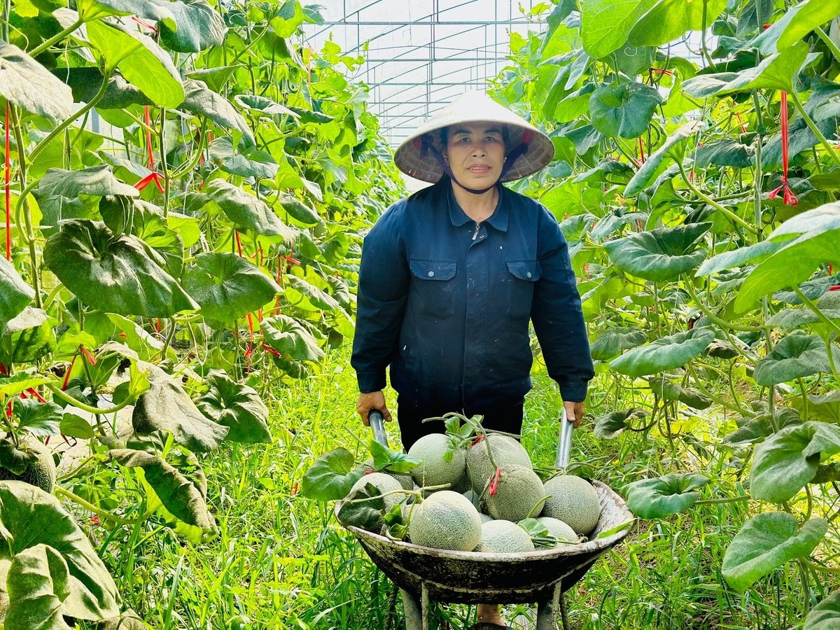 Mô hình tạo việc làm cho nhiều lao động địa phương. Ảnh: Thanh Nga.