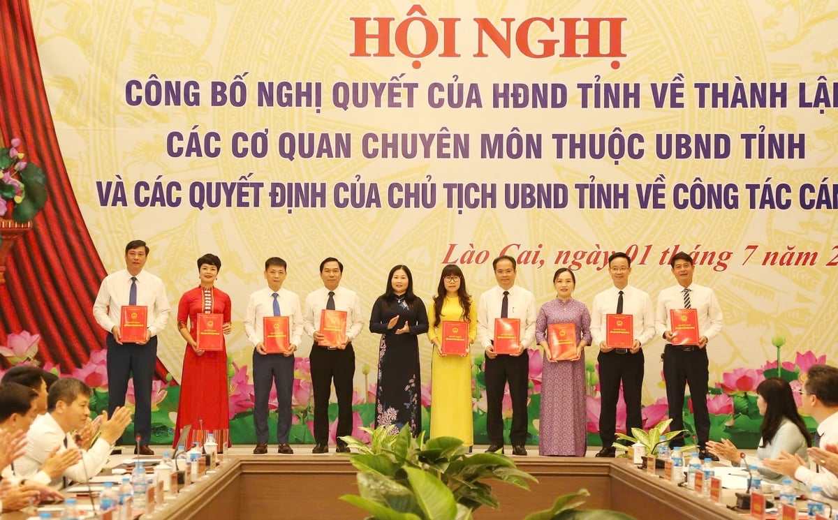 Phó Chủ tịch UBND tỉnh Vũ Thị Hiền Hạnh trao Quyết định bổ nhiệm Phó Giám đốc các sở của tỉnh. Ảnh: Thanh Ngà.