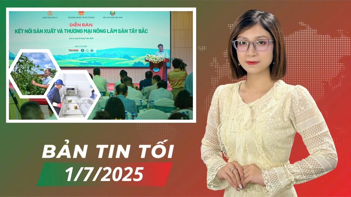 anh bia