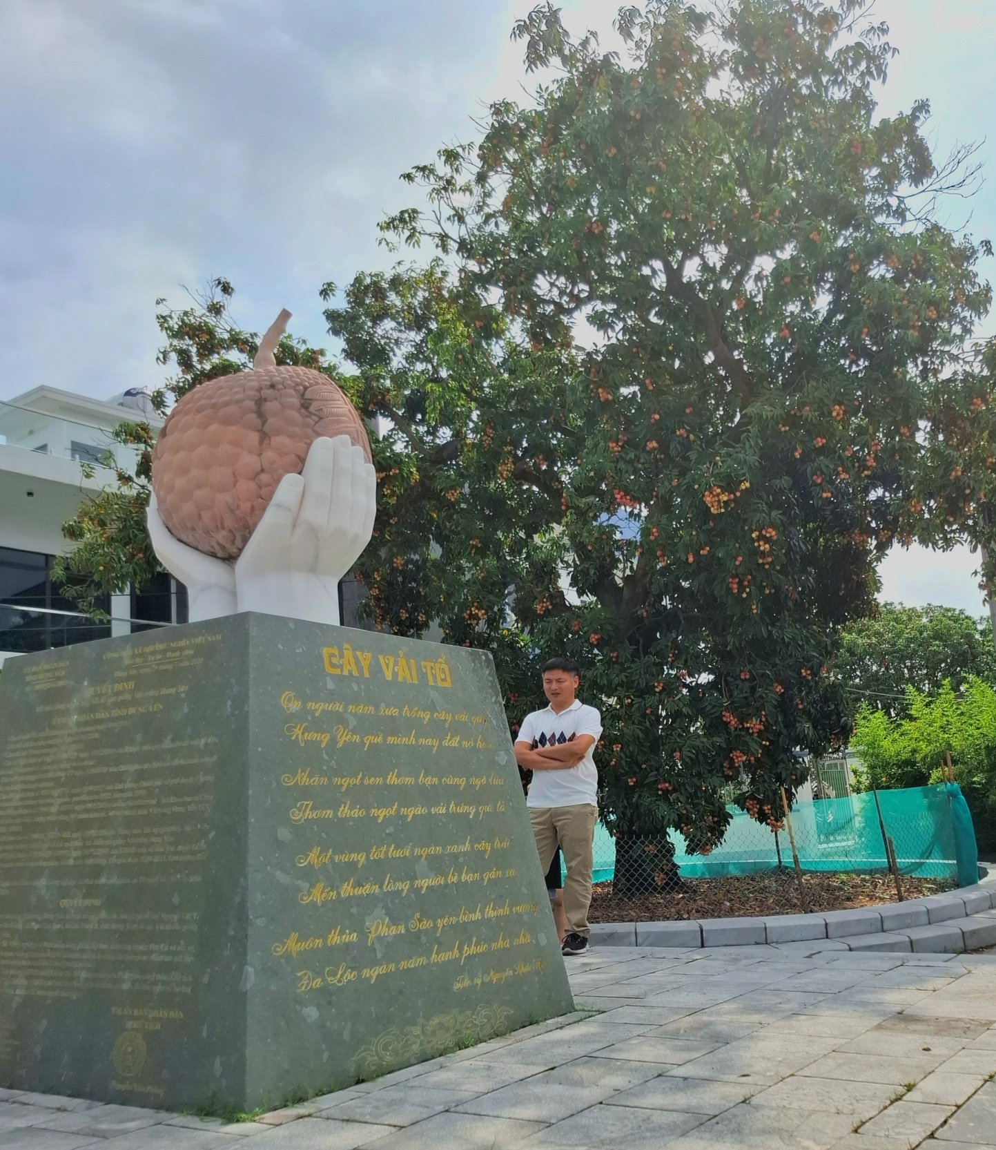 Cây vải tổ hơn 100 tuổi tại thôn Ba Đông, xã Đoàn Đào (Hưng Yên). Ảnh: Lê Tấn.