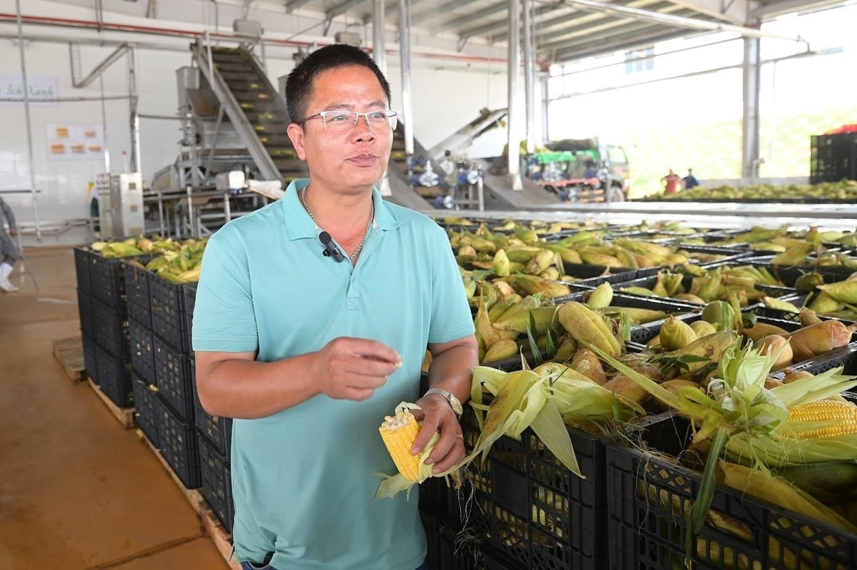Anh Hoàng Quốc Việt đặt trọn niềm tin vào liên kết với Doveco. Ảnh: Tùng Đinh.