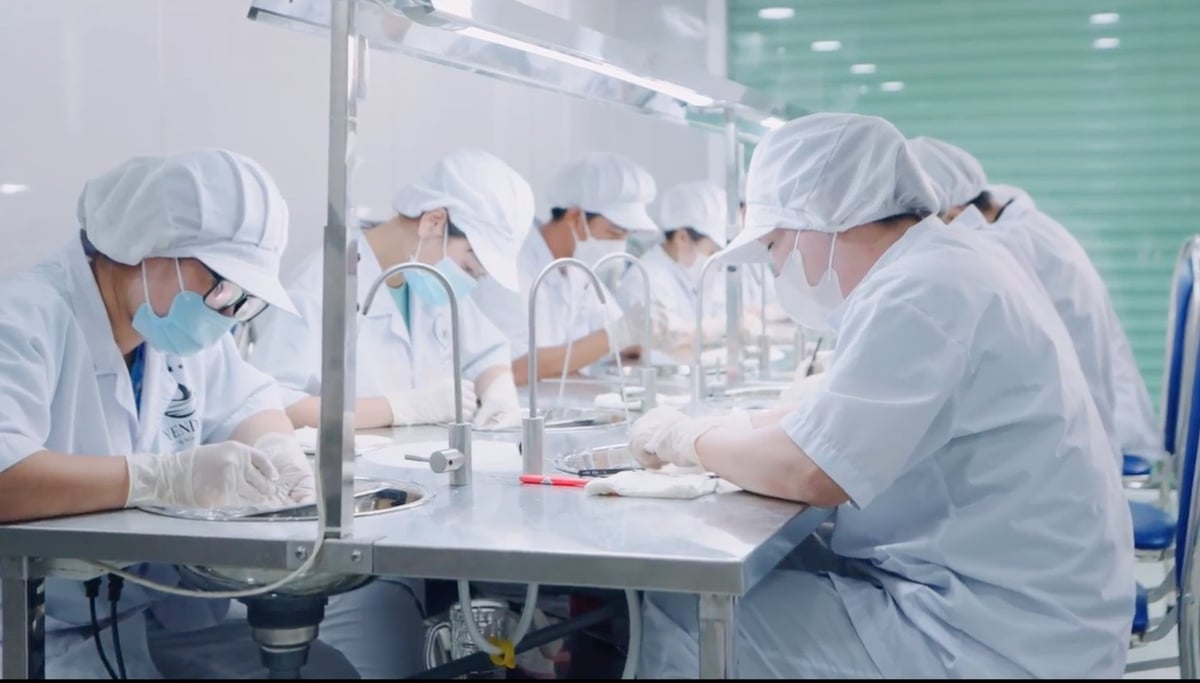 Yến Đảo Cần Giờ là số ít đơn vị tiên phong của TP.HCM đầu tư vào chế biến sâu sản phẩm yến sào và có mặt nhiều hệ thống phân phối. Ảnh: Lê Bình.