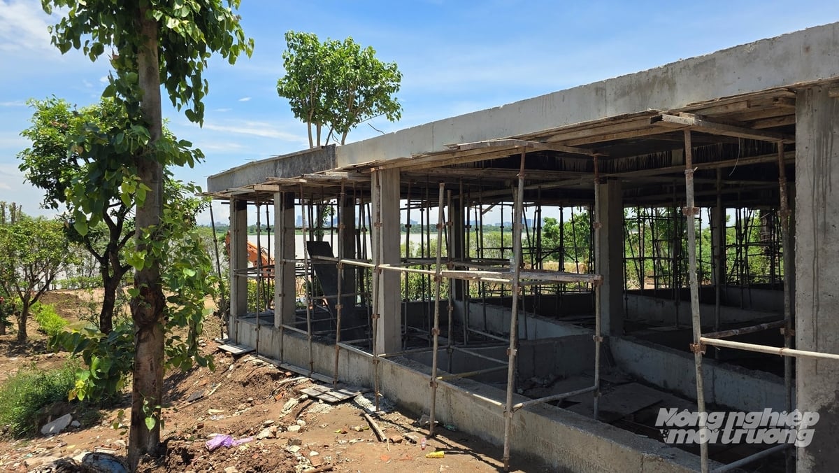 Công trình bê tông kiên cố xây dựng trên hành lang thoát lũ sông Hồng.