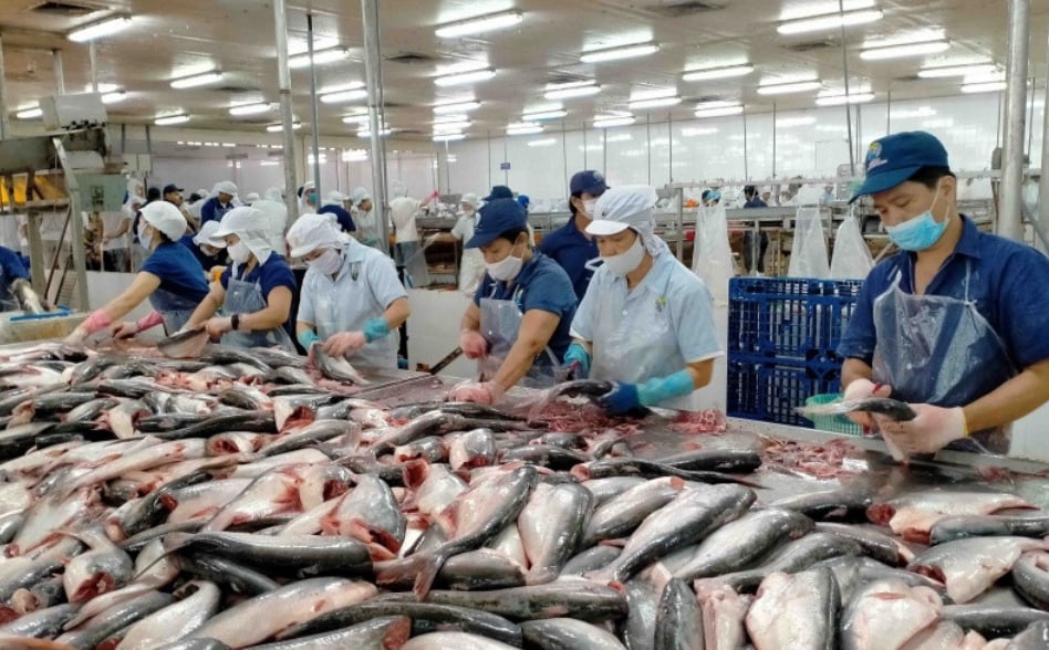 Thứ trưởng Phùng Đức Tiến đề nghị các viện tăng cường nghiên cứu, phát huy lợi thế, nâng cao năng lực tự chủ giống và chế biến. Ảnh: Nhandan.