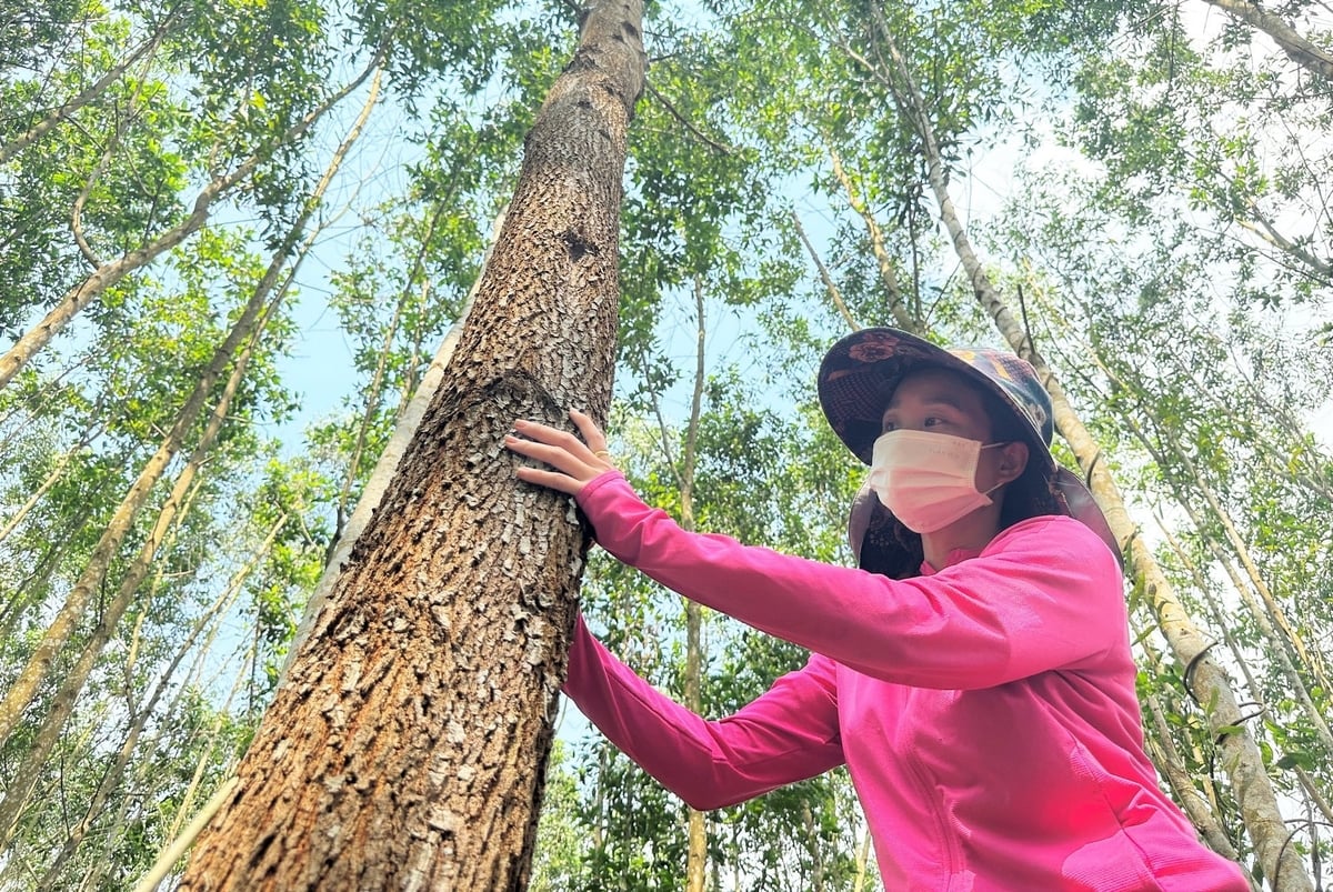 Ha Tinh province has just adjusted the level of ERPA advance payment for beneficiary units to 100%. Photo: Thanh Nga.